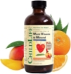 Picture of Siro bổ sung vitamin và khoáng chất dành cho trẻ em ChildLife Essentials Multi Vitamin and Mineral