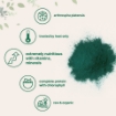 Picture of Bột tảo xoắn hữu cơ Micro Ingredients Organic Spirulina Powder