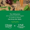 Picture of Bột cỏ lúa mì, rau củ quả hữu cơ Amazing Grass Greens Blend Superfood - Original, 800g