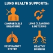 Picture of Thuốc hỗ trợ phổi Dr. Tobias Lung Health, 60 viên