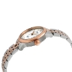 Picture of TISSOT Le Locle Automatic Silver Dial Two-tone Ladies Watch