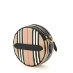 Picture of BURBERRY Archive Beige Louise Icon Stripe Crossbody Bag