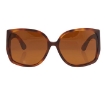 Picture of BURBERRY Brown Oversized Ladies Sunglasses