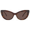 Picture of VERSACE Brown Butterfly Ladies Sunglasses