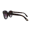 Picture of TOM FORD Tori Brown Gradient Cat Eye Ladies Sunglasses