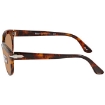 Picture of PERSOL Brown Oval Ladies Sunglasses