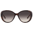 Picture of JIMMY CHOO Brown Gradient Butterfly Ladies Sunglasses