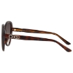 Picture of JIMMY CHOO Brown Gradient Butterfly Ladies Sunglasses