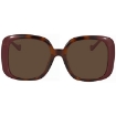 Picture of GUCCI Brown Rectangular Ladies Sunglasses