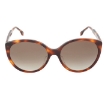 Picture of FENDI Polarized Brown Cat Eye Ladies Sunglasses