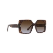 Picture of FENDI Brown Gradient Square Ladies Sunglasses