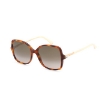 Picture of JIMMY CHOO Brown Gradient Square Ladies Sunglasses