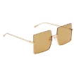 Picture of FENDI Brown Oversized Ladies Sunglasses