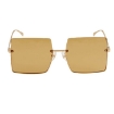 Picture of FENDI Brown Oversized Ladies Sunglasses