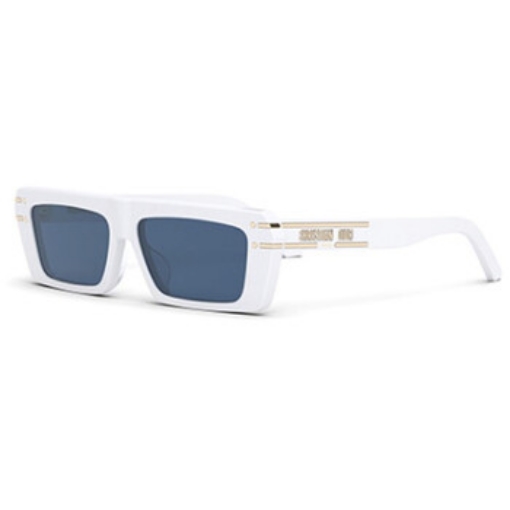 Picture of DIOR Blue Browline Ladies Sunglasses