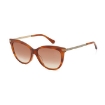 Picture of JIMMY CHOO Brown Gradient Cat Eye Ladies Sunglasses