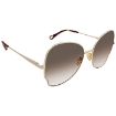 Picture of CHLOE Brown Butterfly Ladies Sunglasses