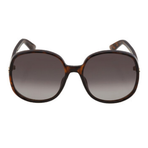 Picture of DIOR Gradient Smoke Oversized Ladies Sunglasses