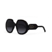 Picture of DIOR Gradient Smoke Butterfly Ladies Sunglasses