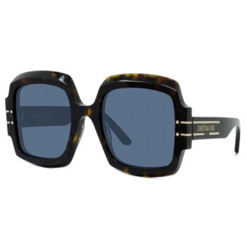 Picture of DIOR Blue Square Ladies Sunglasses