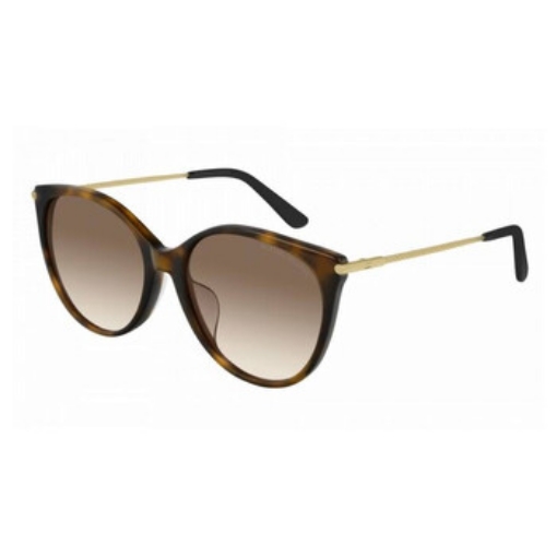 Picture of BOTTEGA VENETA Gradient Brown Butterfly Ladies Sunglasses