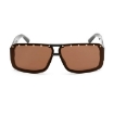 Picture of JIMMY CHOO Brown Rectangular Ladies Sunglasses