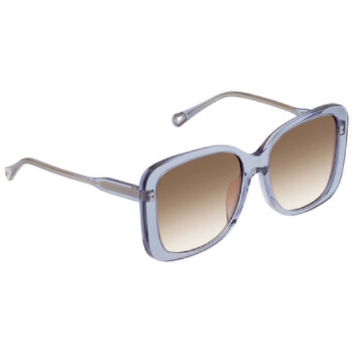 Picture of CHLOE Brown Gradient Butterfly Ladies Sunglasses