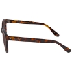 Picture of GUCCI Brown Cat-Eye Ladies Sunglasses