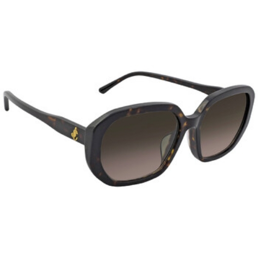 Picture of JIMMY CHOO Brown Gradient Square Ladies Sunglasses