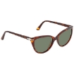 Picture of PERSOL Green Butterfly Ladies Sunglasses