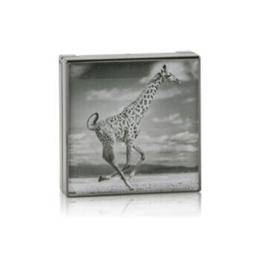 Picture of CHANTECAILLE - Luminescent Eye Shade - # Giraffe (Burnished Brown) 2.5g/0.08oz