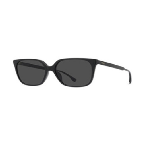 Picture of FENDI Grey Butterfly Ladies Sunglasses