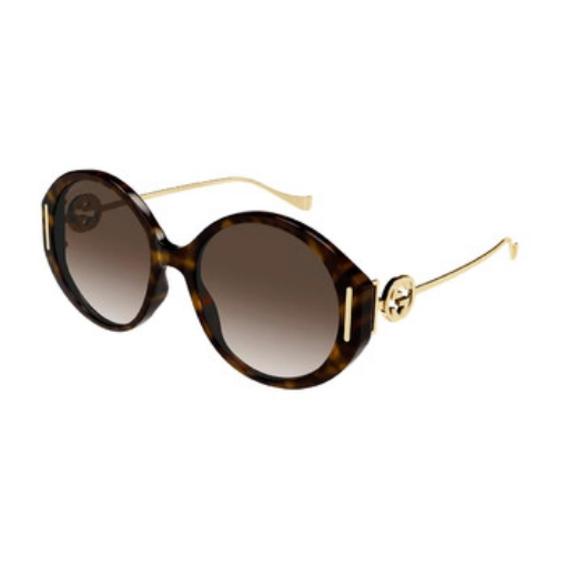 Picture of GUCCI Brown Oval Ladies Sunglasses