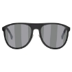 Picture of FENDI Grey/Silver Round Men's Sunglasses