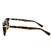 Picture of PERSOL Brown Polar Square Men's Sunglasses