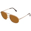 Picture of TOM FORD Brown Pilot Men's Sunglasses