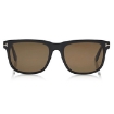 Picture of TOM FORD Stephenson Polarized Brown Rectangular Men's Sunglasses