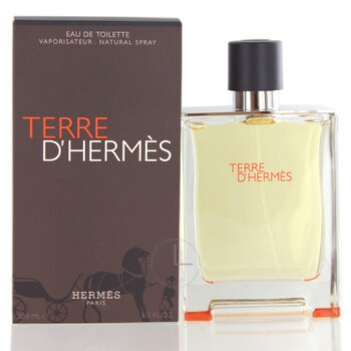 Picture of HERMES Terre D by Hermes EDT Spray 6.7 oz (m) (200 ml)