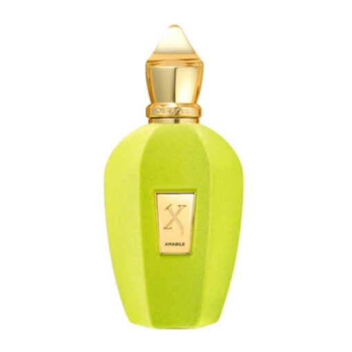 Picture of XERJOFF Unisex V Amabile EDP Spray 3.4 oz Fragrances