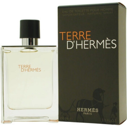 Picture of HERMES Terre D by Hermes EDT Spray 3.3 oz (m) (100 ml)