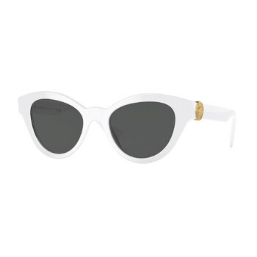 Picture of VERACE Dark Gray Butterfly Ladies Sunglasses