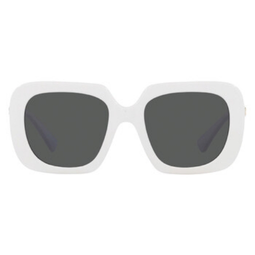 Picture of VERACE Dark Gray Square Ladies Sunglasses