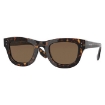 Picture of BURBERRY Sidney Dark Brown Square Men's Sunglasses