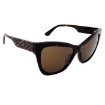 Picture of VERSACE Brown Butterfly Ladies Sunglasses