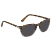 Picture of PERSOL Dark Smoke Square Men's Sunglasses