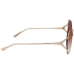 Picture of GUCCI Open Box - Brown Gradient Butterfly Ladies Sunglasses