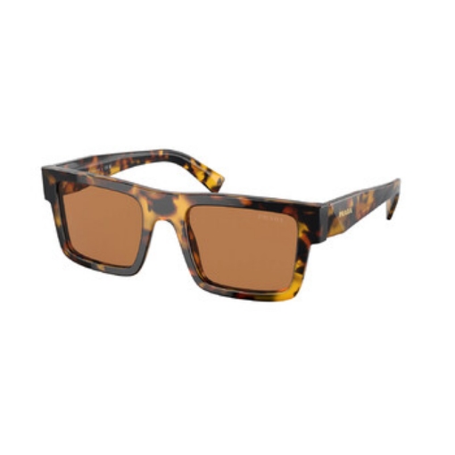 Picture of PRADA Brown Browline Men's Sunglasses