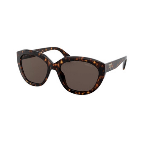 Picture of PRADA Dark Brown Oval Ladies Sunglasses