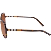 Picture of BURBERRY Brown Shaded Butterfly Ladies Sunglasses