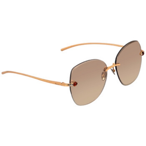 Picture of POMELLATO Brown, Pink Butterfly Ladies Sunglasses